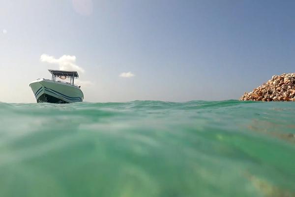 Above the surface